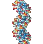 Pic: DNA Strand